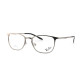 Оправа для очков Ray Ban 8021 c2, 356
